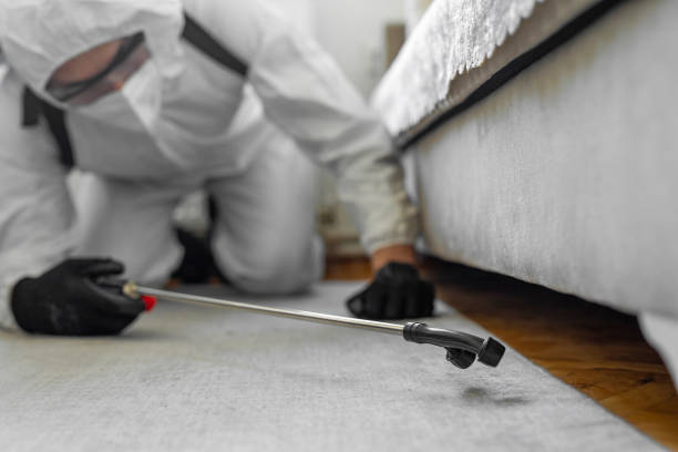 Professional Termite Control technician working in Conley, GA