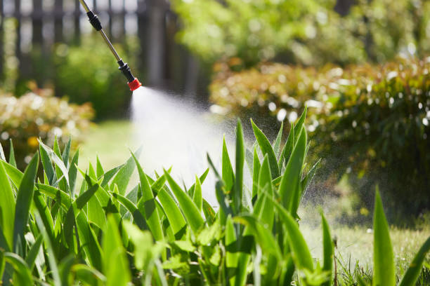24/7 Emergency Termite Control experts in Conley, GA